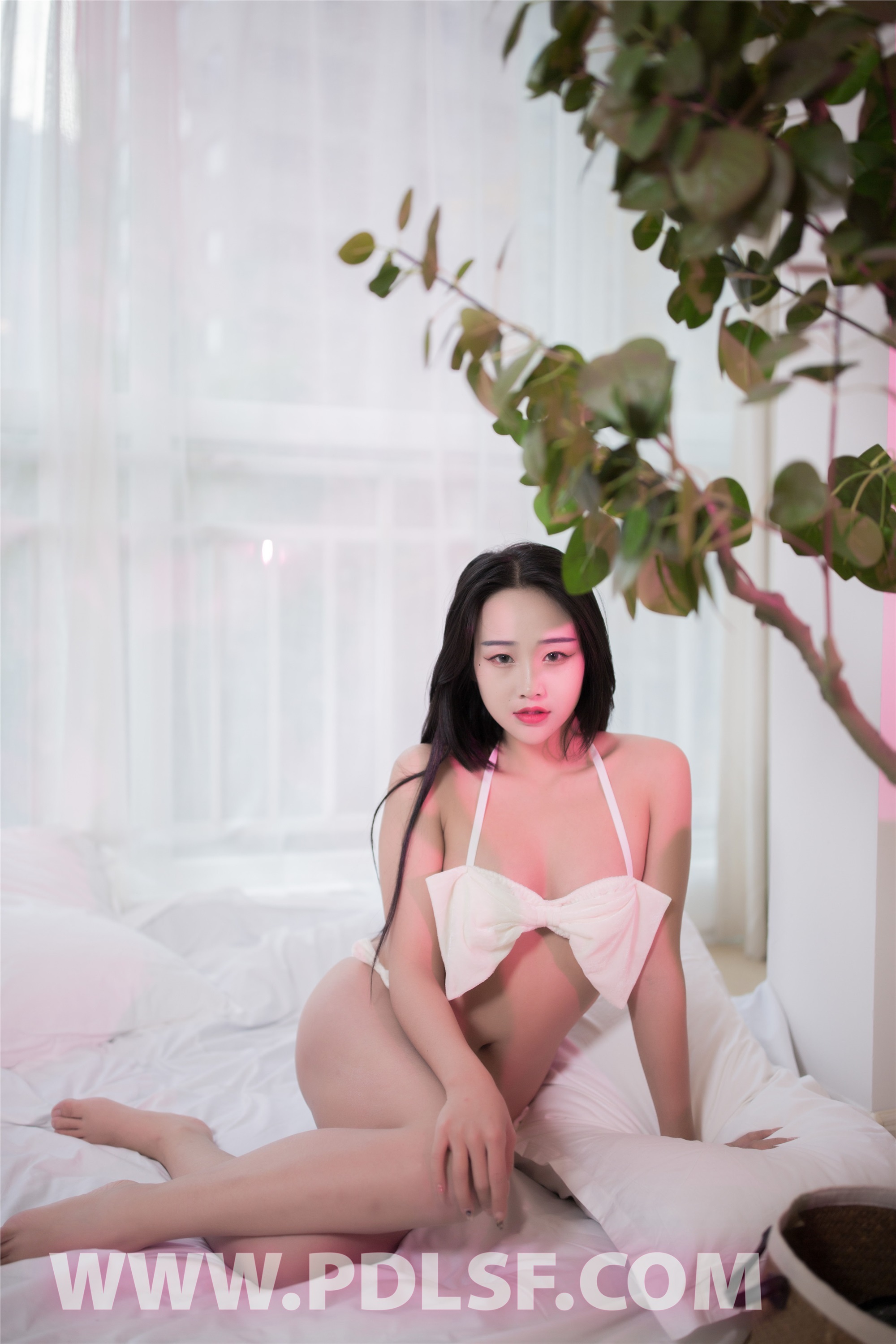 PDL潘多拉  2020.06.17 NO.299 秘製小漢堡